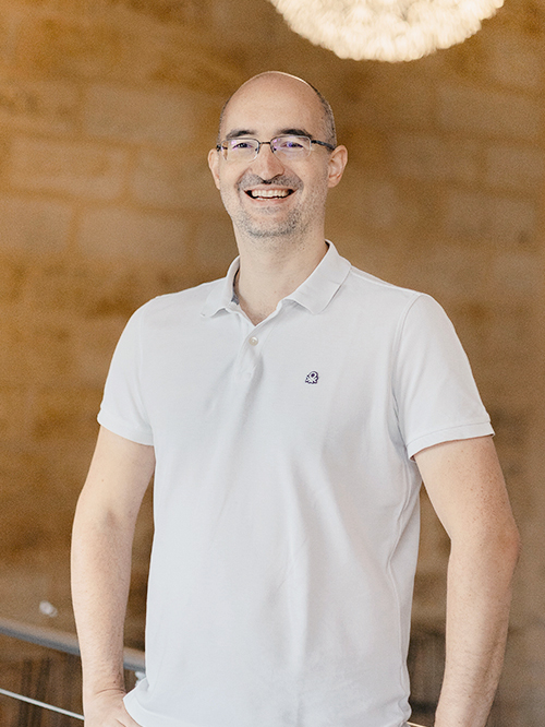 Nicolas Chanoine Directeur de projets conduite du changement et médiation BConnected Strategy